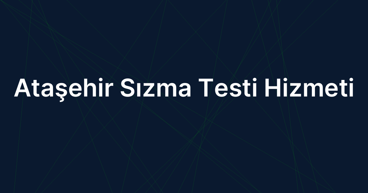 Ataşehir Sızma Testi Hizmeti