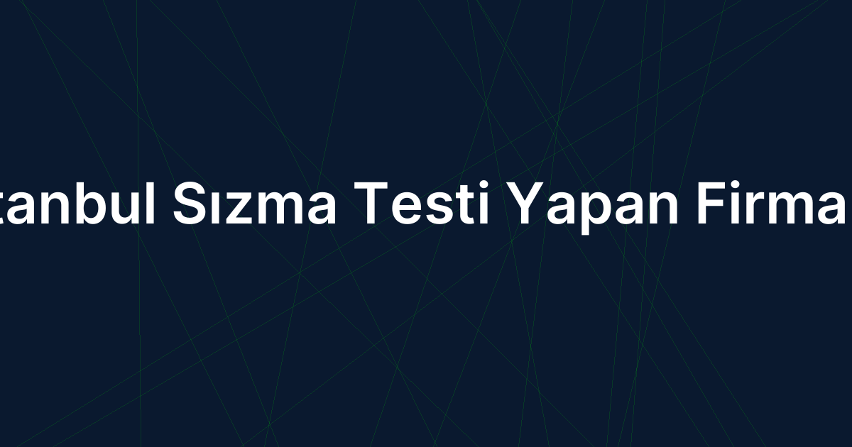 İstanbul Sızma Testi Yapan Firmalar